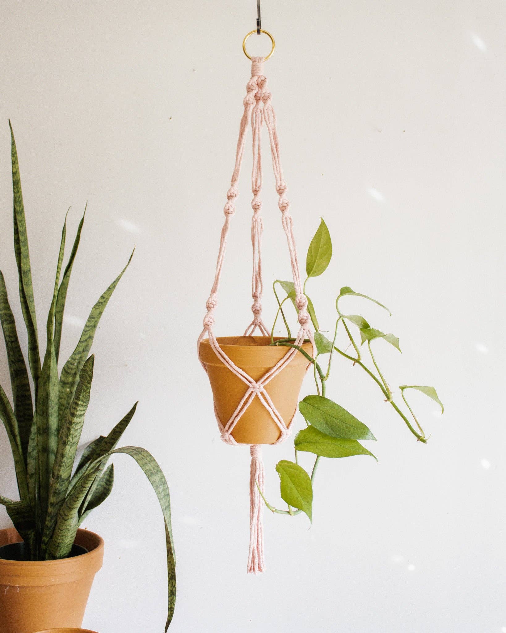 Simple Twist Macrame Plant Hanger - Image 12