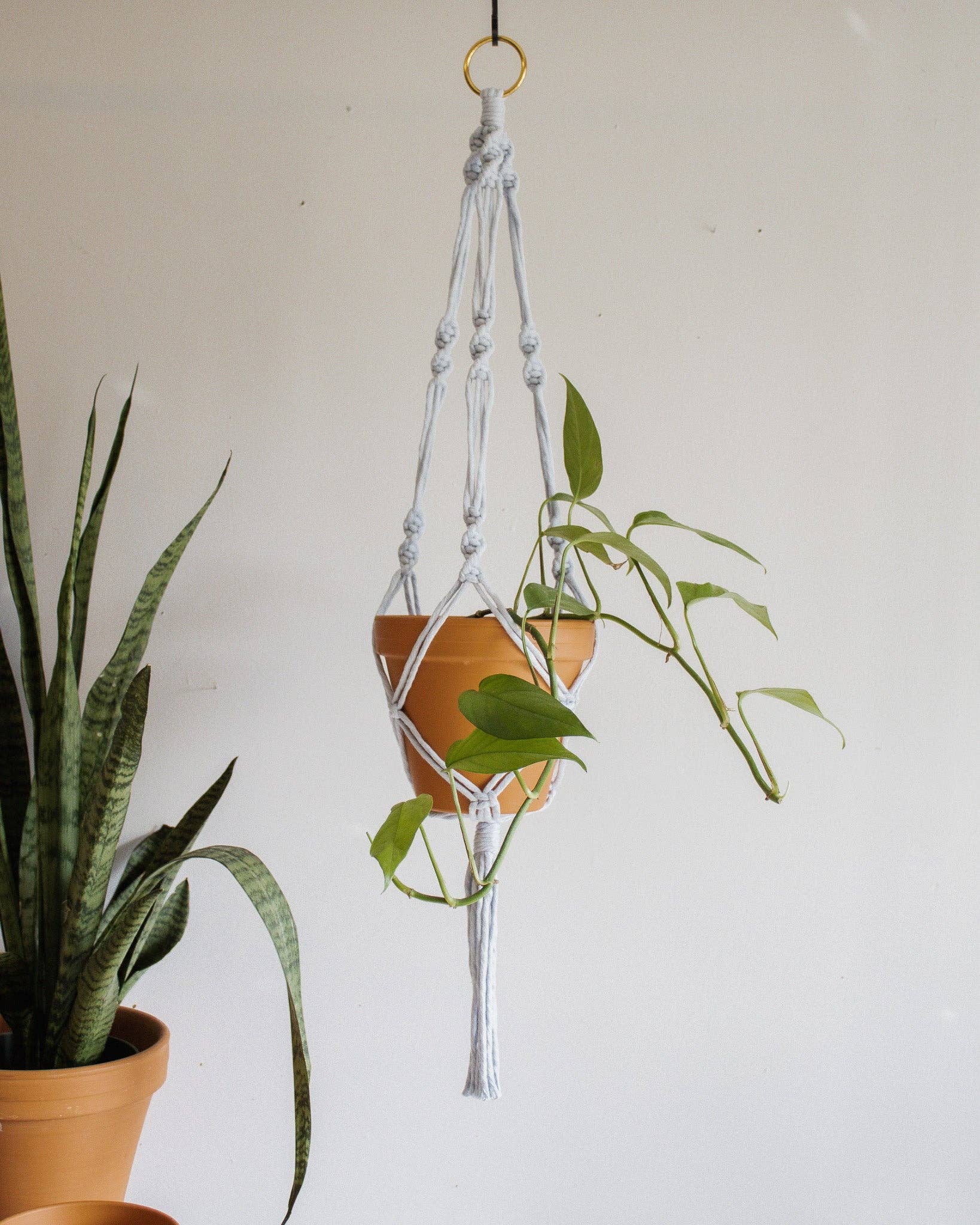 Simple Twist Macrame Plant Hanger - Image 9