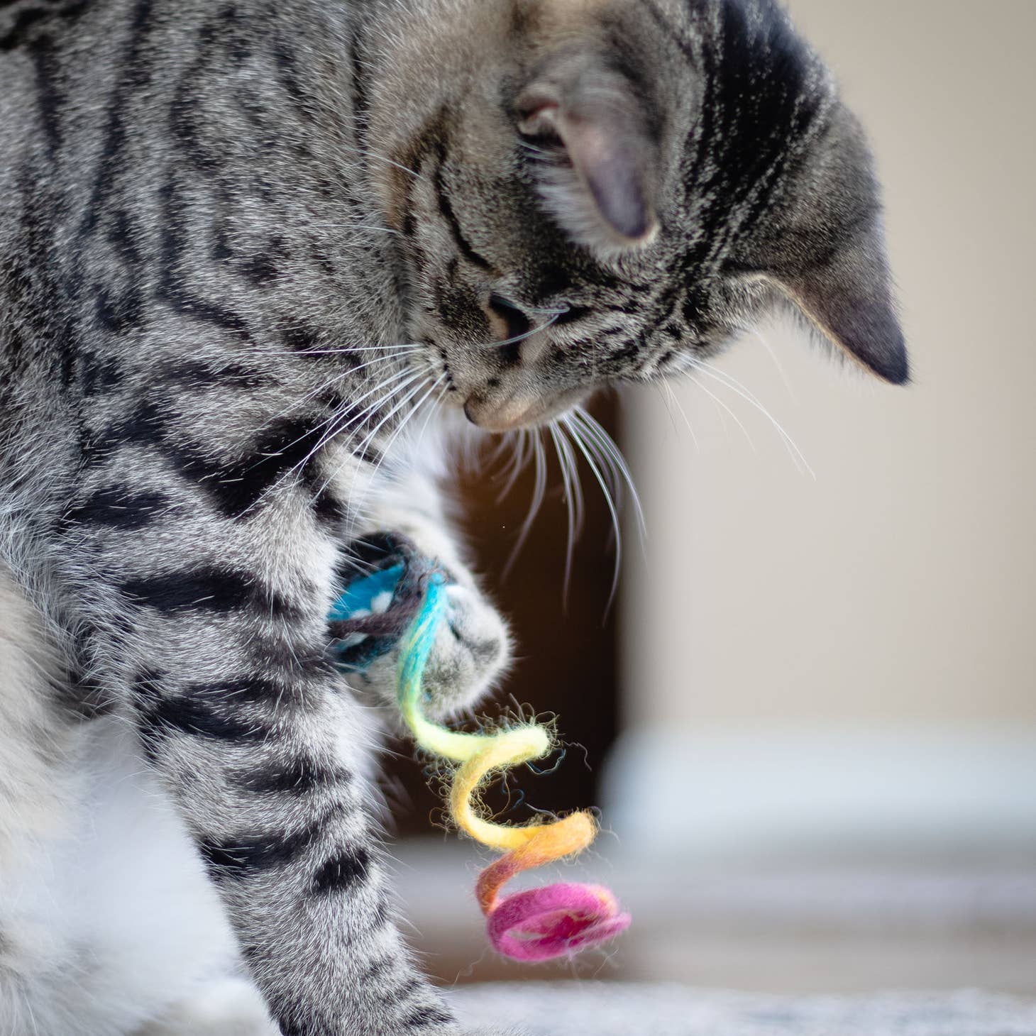 Wool Spring Cat Toy - Image 4